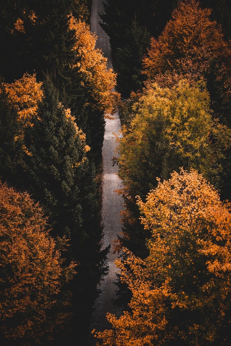 Trekking Adventures